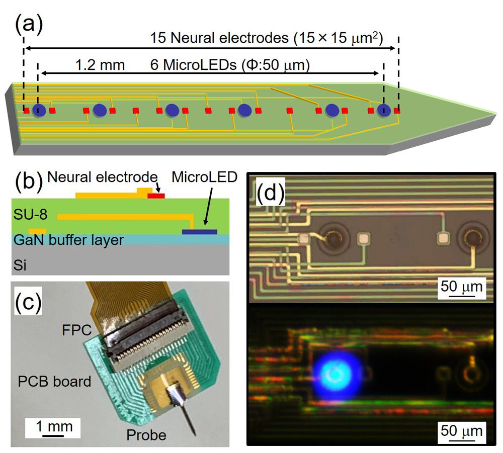 210303-Press-release-micro-LED-neutral-probe.png