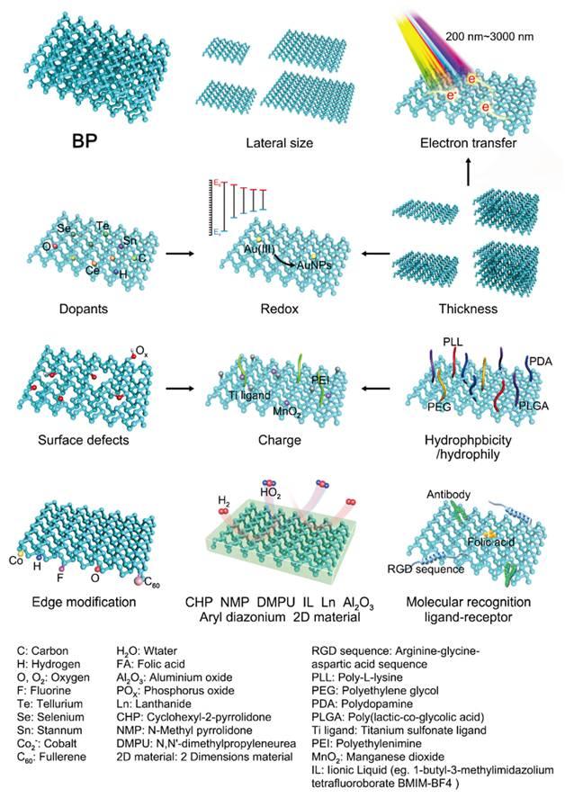 科学家发表黑磷研究综述文章--业内热点